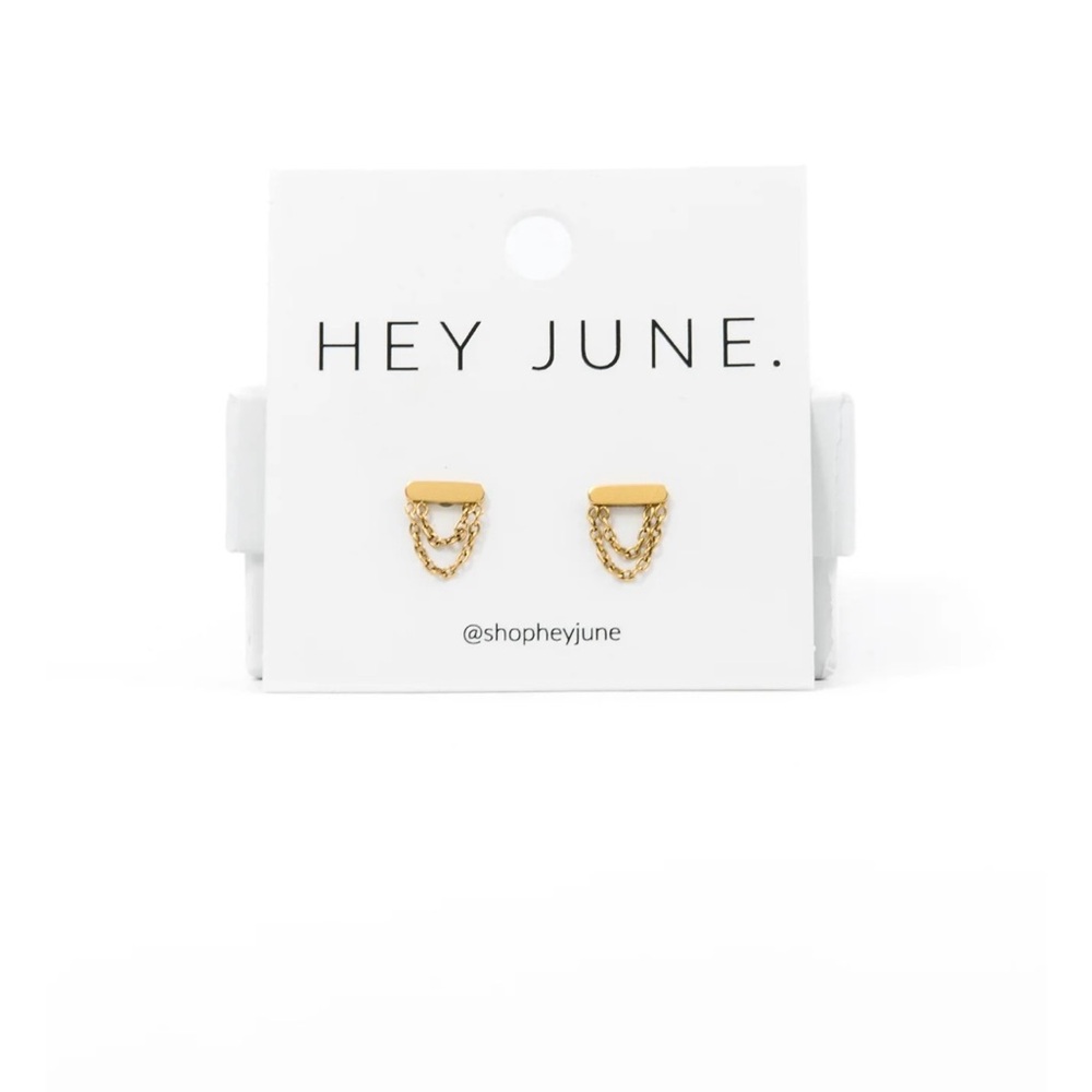 NEW IN BOX Gold Chain Earrings from Hey June